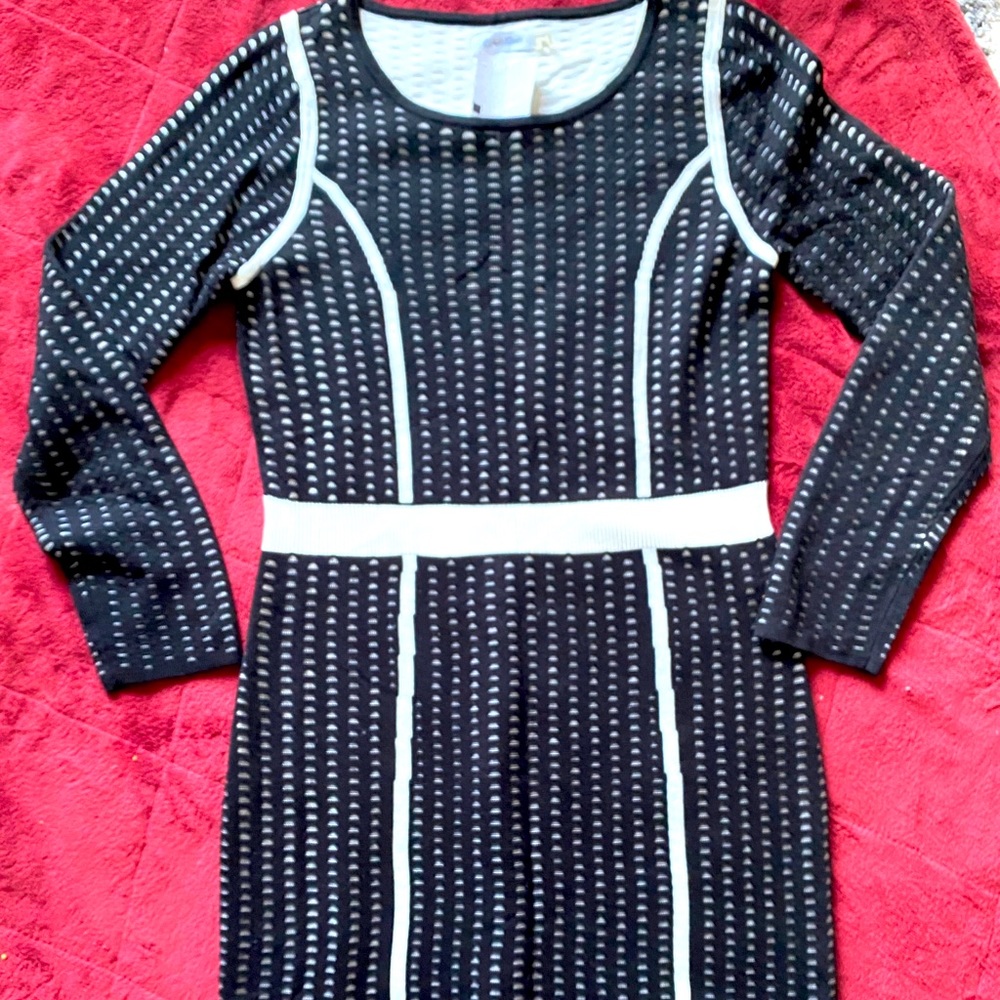 Nw Calvin Klein B/W Dress